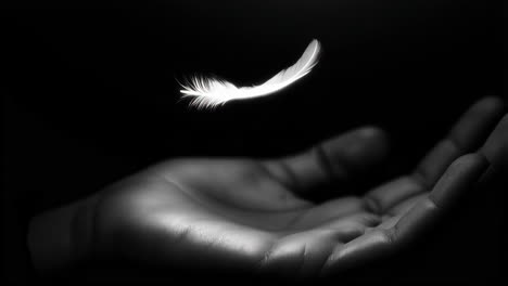 feather floating above a hand