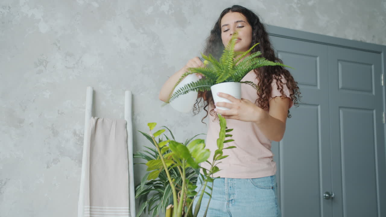 실내 식물 에 물 을 주고 있는 여자