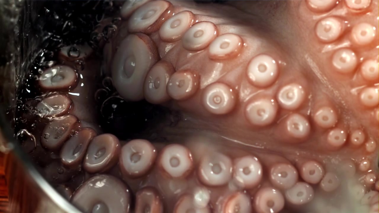 Primer plano de tentáculos de pulpo crudo con agua vertiéndose sobre ellos