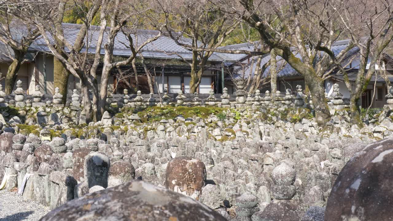 Paesaggio al rallentatore di migliaia di statue di pietra muschiose presso i giardini tradizionali del santuario del tempio Adashino Nenbutsuji, sito di sepoltura e punto di riferimento, nel quartiere Ukyo, Kyoto, Giappone, turismo e viaggi in Asia