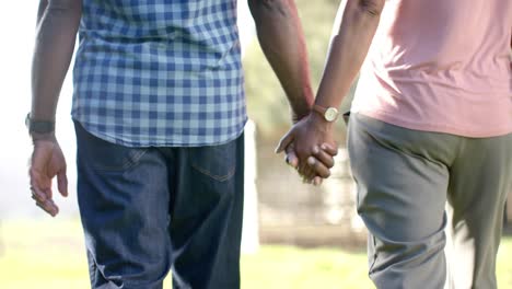 cogidos de las manos de una pareja afroamericana de alto nivel caminando en la naturaleza soleada, cámara lenta