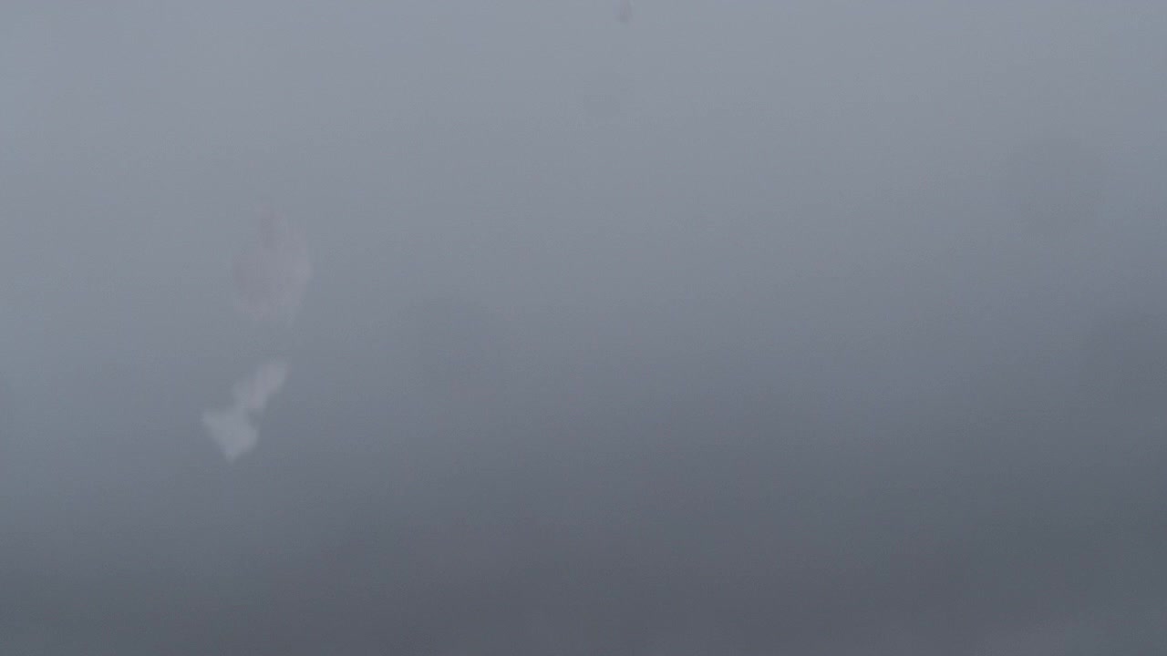 Tiny snowflakes float downward through soft gray winter air with an atmospheric background