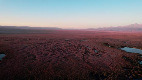 drone sobre el parque nacional de sultan marshes en turquía, disparo aéreo