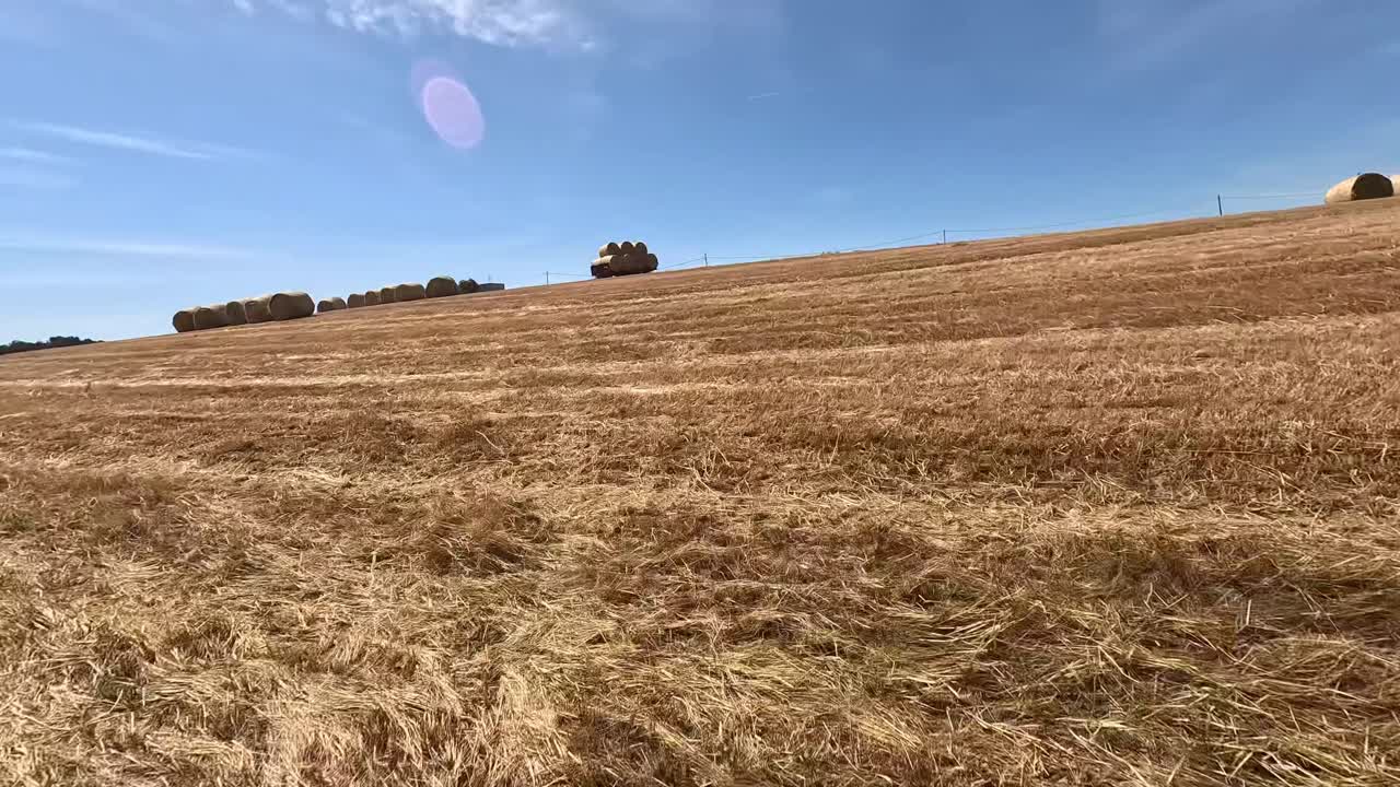 Smooth FPV drone video capturing a harvested cereal field dotted with neatly arranged hay bales under a clear blue sky. The aerial view highlights the textures and patterns of the landscape.