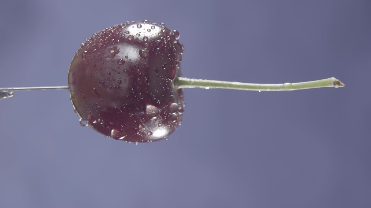 크로마 키를 위해 파란 화면에 루프와 함께 회전하는 체리