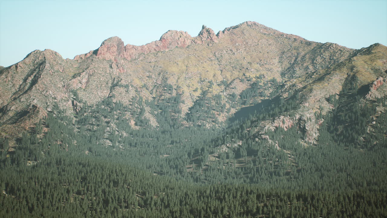 아침 이른 안개 에 숲 으로  ⁇ 인 산 들