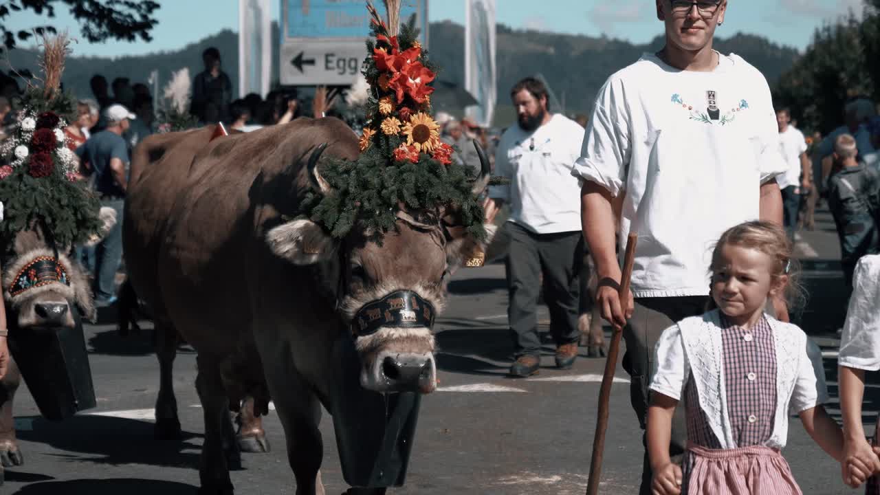 You can see the traditional alpine descent with the farmers and their cows. They come down from the Alps to spend the winter in lower areas