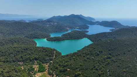 Beautiful Green Mljet Island Landscape with Turquoise Inlets AERIAL
