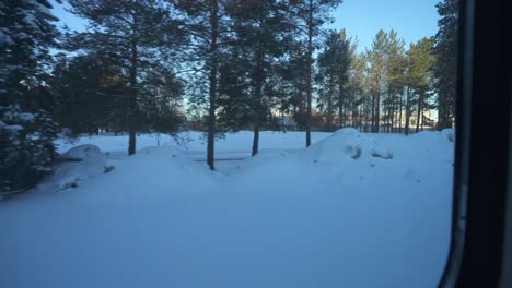 view out of a train window traveling through a beautiful, serene winter forest covered in snow