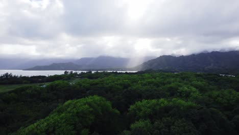 an aerial shot capturing dramatic sunbeams piercing through the clouds over a dense, green forest and a tranquil bay, set against the backdrop of mountains