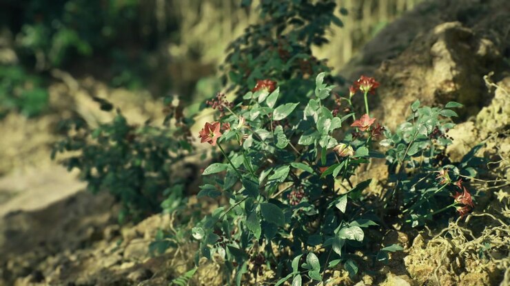Vibrant floral spillover enhances lively roadside garden scenery at dawn
