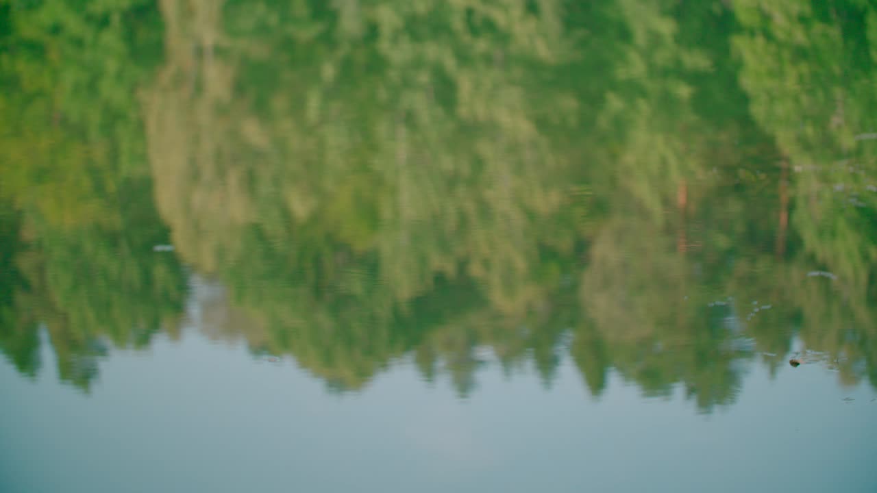 잔잔한 호수 수면에 반사되는 녹색 자연의 매혹적인 전망