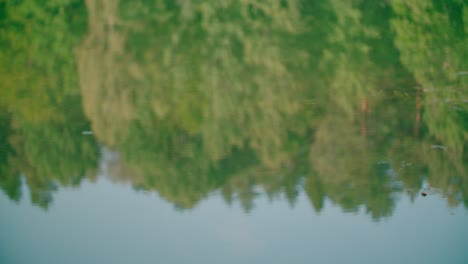 Una-Vista-Encantadora-Del-Reflejo-De-La-Naturaleza-Verde-En-La-Tranquila-Superficie-Del-Agua-Del-Lago