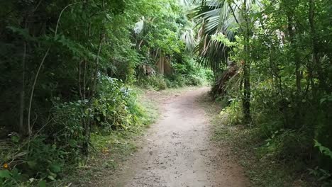 Spittal-Pond-Ist-Eines-Der-Naturschutzgebiete-Von-Bermuda