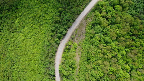 small road passing through beautiful scenery with trees and slopes in hungary