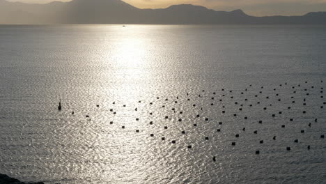 Fließendes-Wasser,-Das-Das-Sonnenlicht-In-Der-Goldenen-Stunde-Reflektiert-Und-Still-Wird