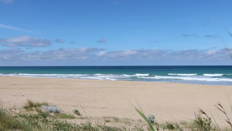 tracking shot on beautiful beach