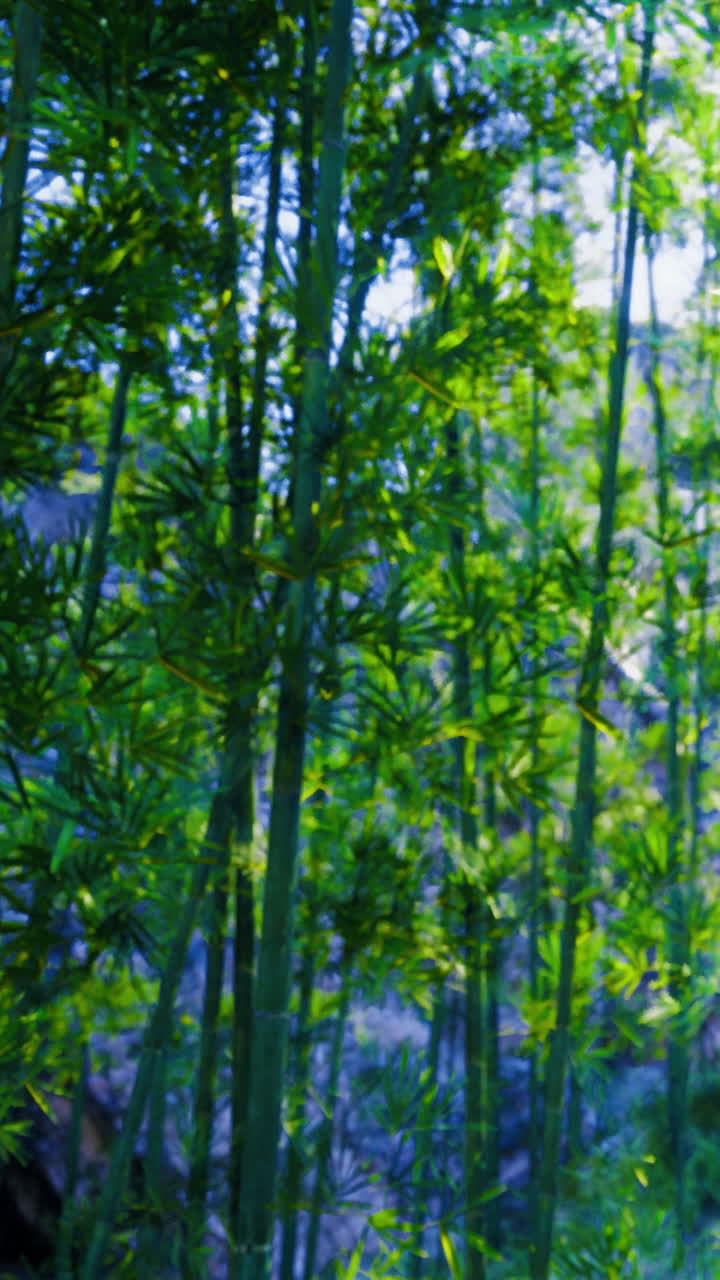 Foresta di bambù con alte piante verdi durante il giorno in un ambiente naturale.