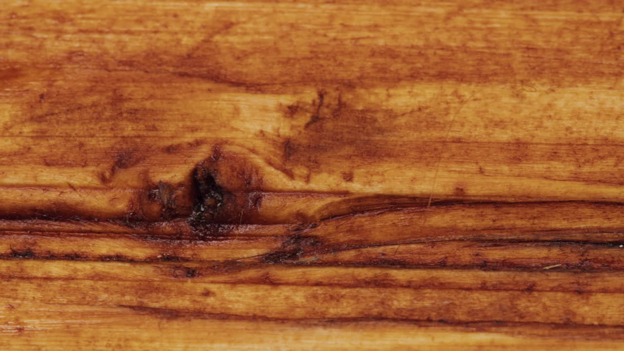 Close-up of wood grain and texture