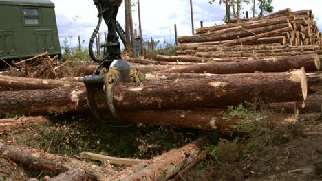 Logging-truck-is-unloaded-after-arrival-to-saw-mill.-Wheel-loader-in-action