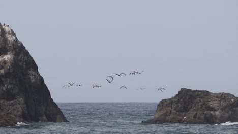 Brown-Pelican's-flying-over-the-Pacific-Ocean