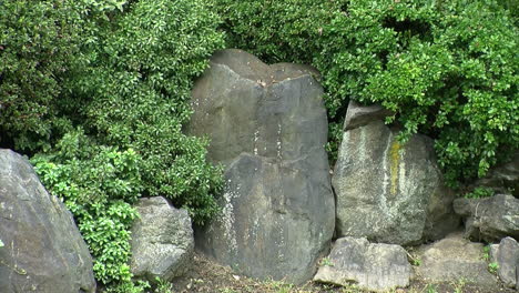 Rocas-Decorativas-En-Un-Jardín-Japonés