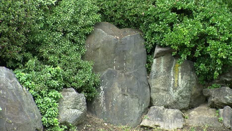 decorative rocks in a japanese garden