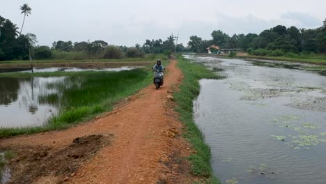 Motociclista-Montando-Una-Bicicleta-Vintage,-Camino-Indio,-Camino-Entre-El-Campo-De-Agua,-Camino-Intestinal