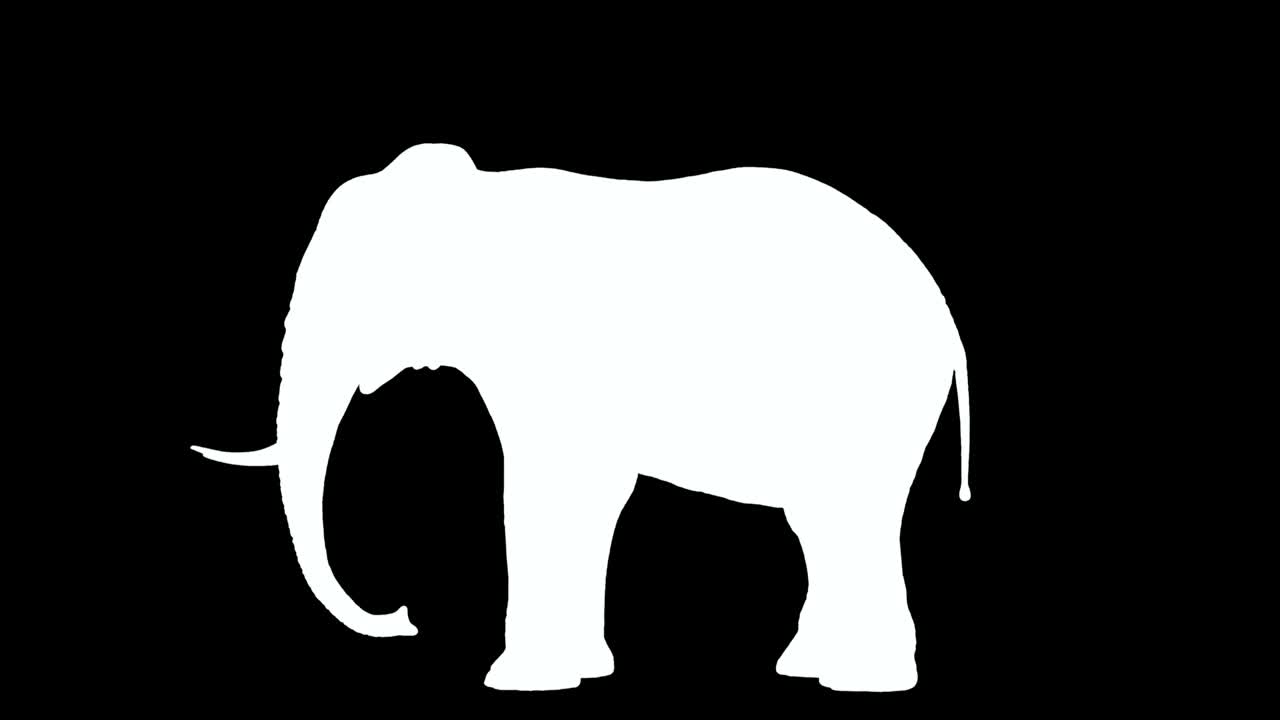 CG rendering of the standing elephant. Loop animation. | Premium Stock ...