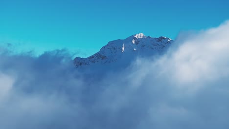 Schneebedeckte-Kiefern-Verschmelzen-Mit-Der-Nebligen-Kulisse