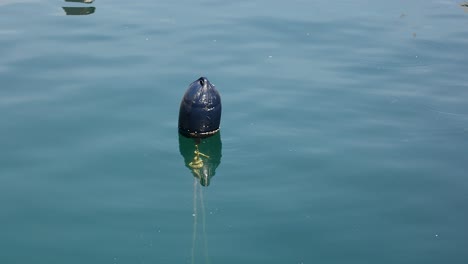 a buoy gently floating in the water