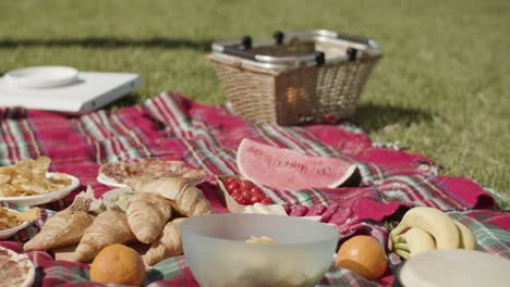 Toma-De-Establecimiento-De-Un-Picnic-En-Un-Paño-Fletado-Lleno-De-Mucha-Comida-Diferente