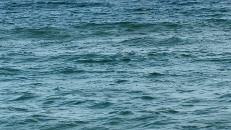 Textura-De-Mar-Azul-Profundo-Con-Suaves-Olas-Bajo-El-Cielo-Abierto,-Patrón-De-Agua-Sin-Costuras