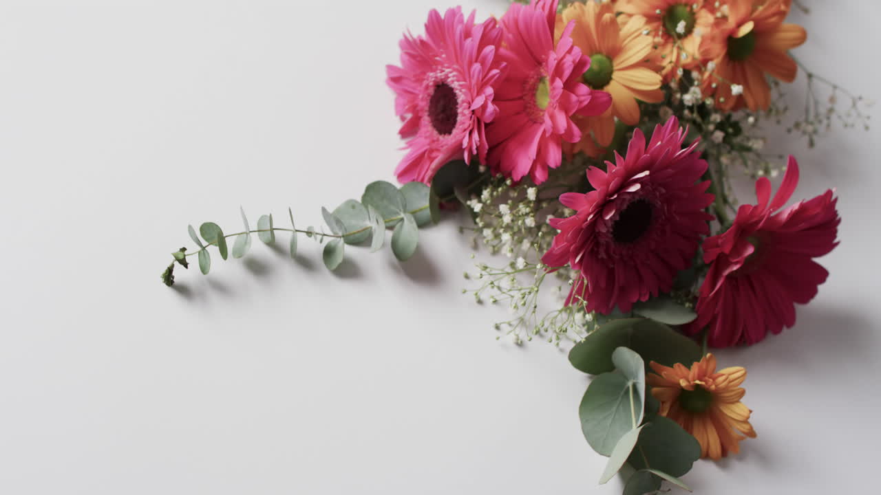 Video di un mazzo di fiori multicolori e spazio per il testo su sfondo bianco