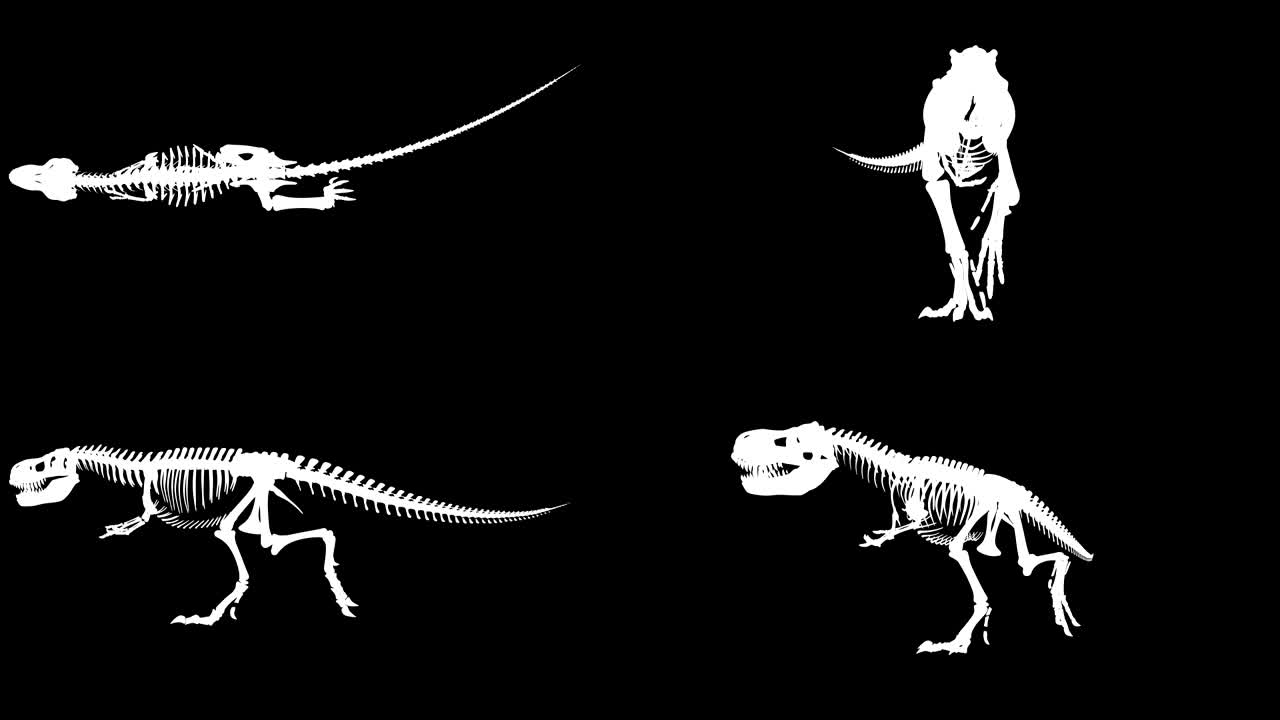 트렉스 스레톤 기 사이클, 3d 애니메이션 루프, 알파 채널