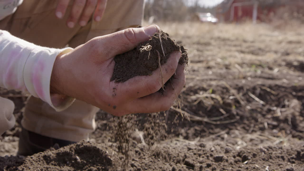 la mano revisa el suelo en una granja, agricultura, cierra la cámara lenta