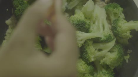 Stir-fried Broccoli