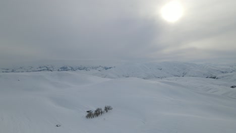 Icy-Weather-Landscape