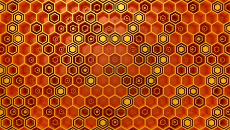 el fondo de los hexágonos