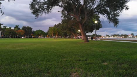 4k video of st. pete florida waterfront park