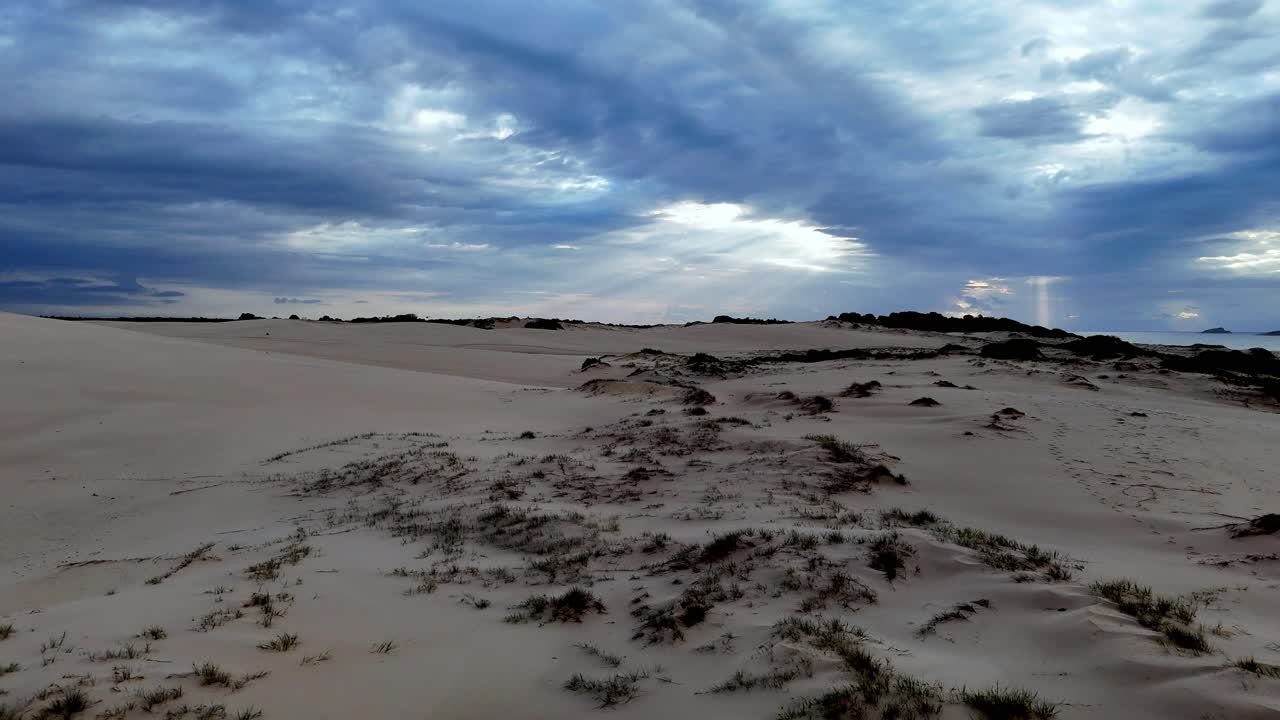una playa de arena con algunas nubes en el cielo por encima y algunas plantas creciendo en la arena