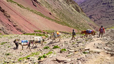 caravana de sherpa descendiendo por una pista en las montañas, día soleado y brillante mientras la gente y los caballos se embarcan en una aventura