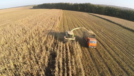 luftansicht von landwirtschaftlichen maschinen, die mais ernten