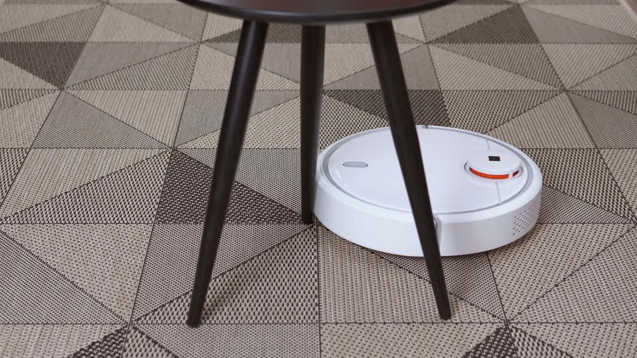 똑똑한 로이 집을 청소합니다.