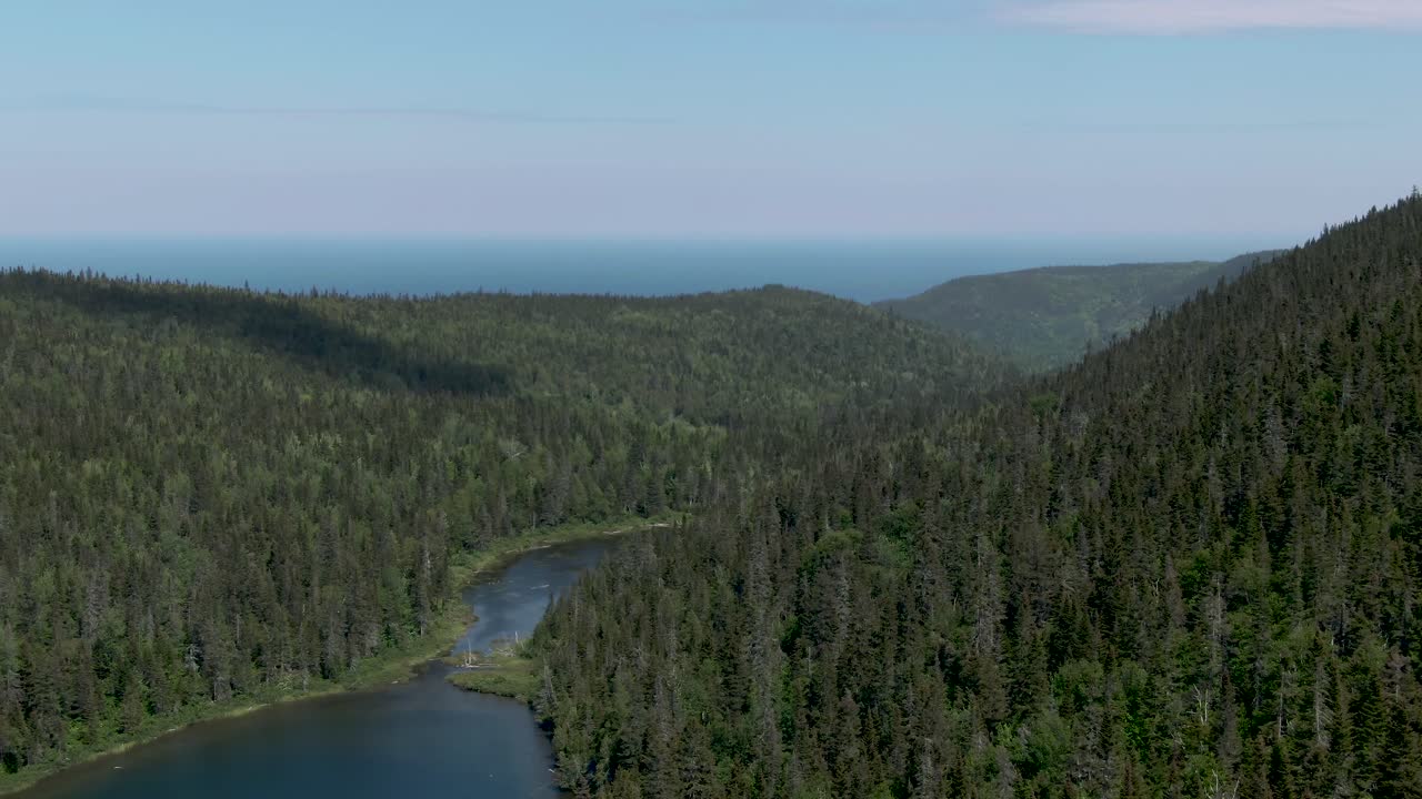 леса в окрестностях сэнт-анн-де-монт квебек канада