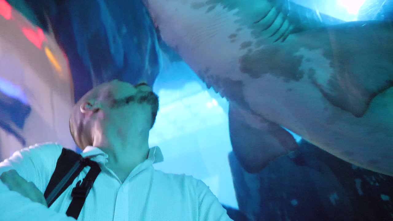 hombre observando tiburones en un acuario