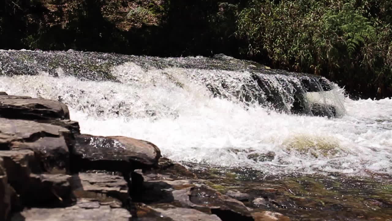 콜롬비아 열대 우림의 폭포