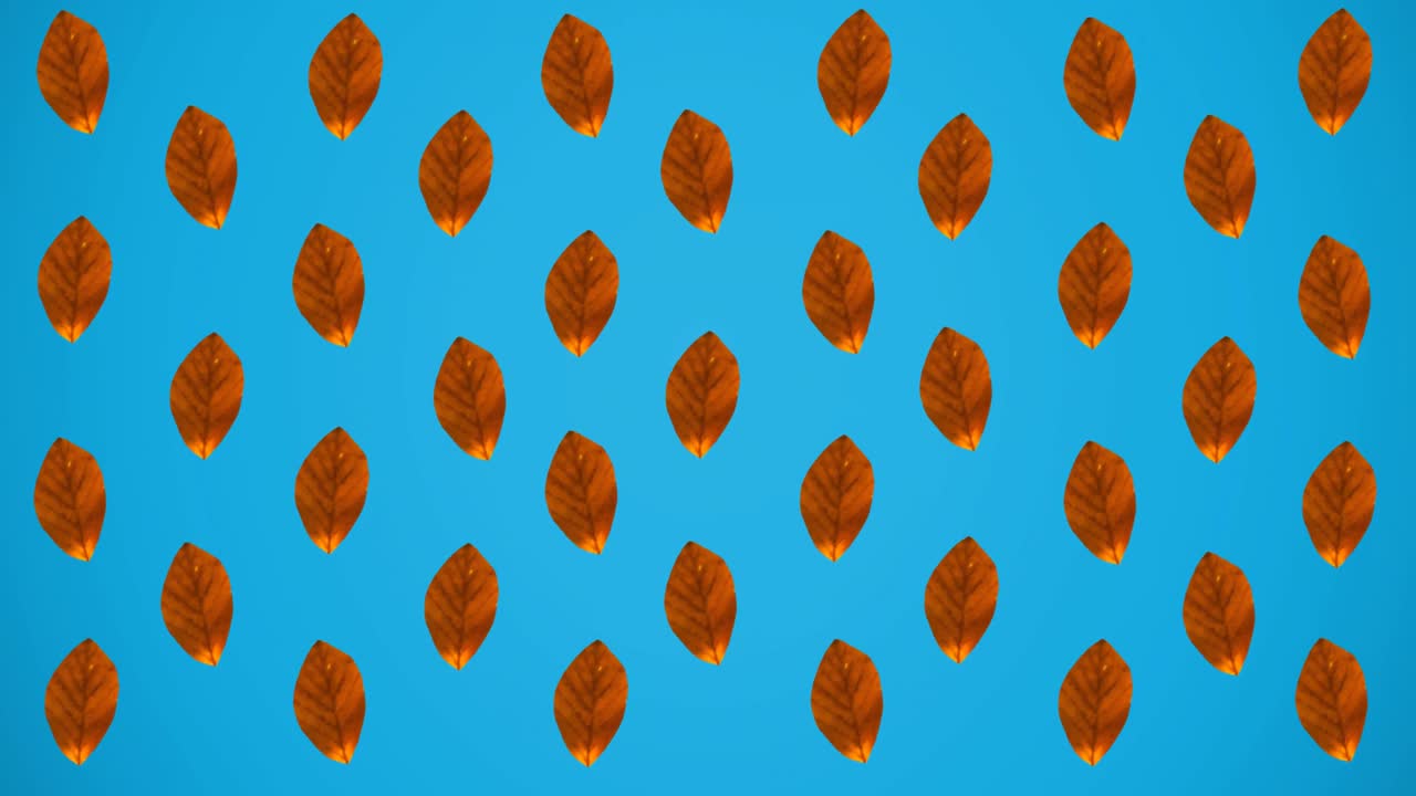 animación de filas de hojas de naranja de otoño sobre fondo azul