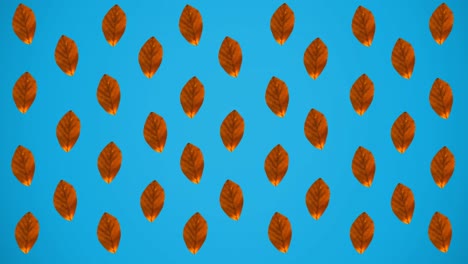 animation of rows of autumn orange leaves on blue background