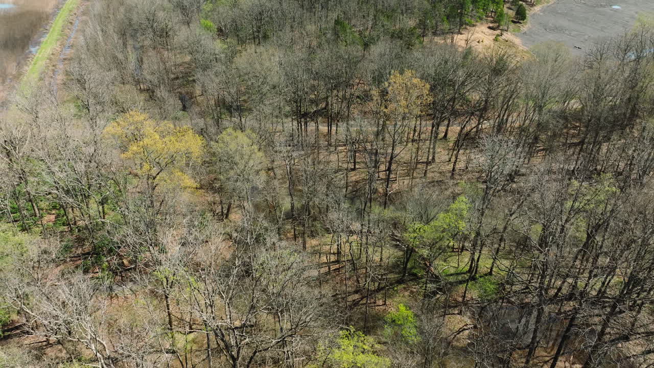 Bell slough wildlife area with early spring foliage, aerial view